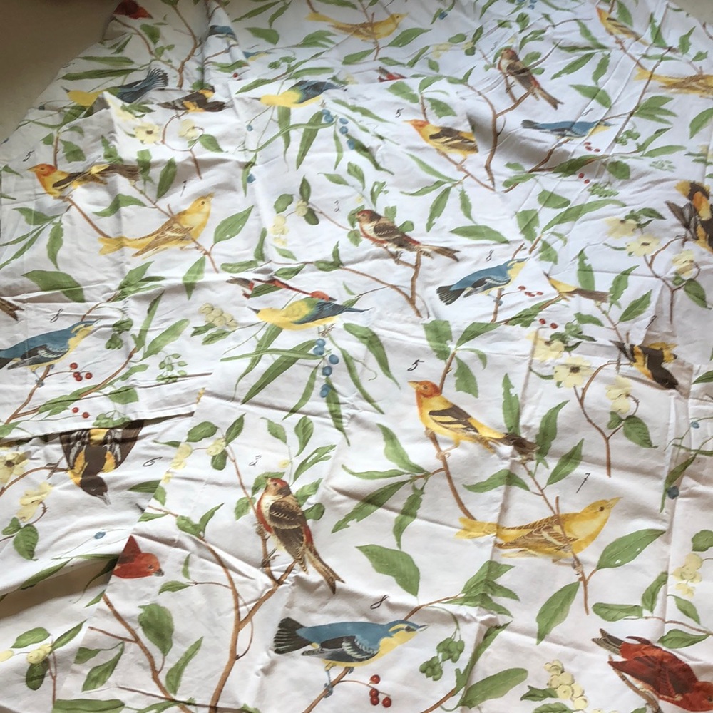 Pottery Barn Cotton Duvet Cover and Shams